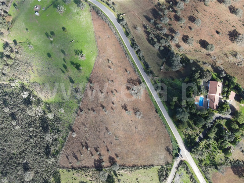 Terreno para Construção / Ourique, Ourique