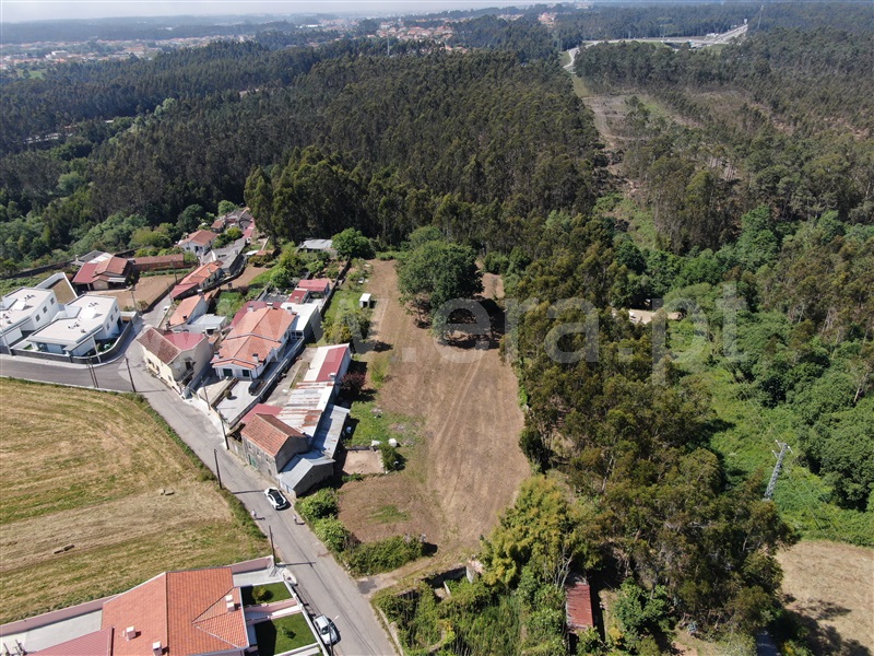 Terreno para Construção / Ovar, Arada