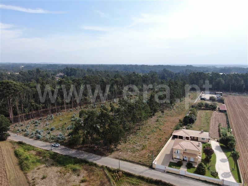 Terreno para Construção / Ovar, Arada