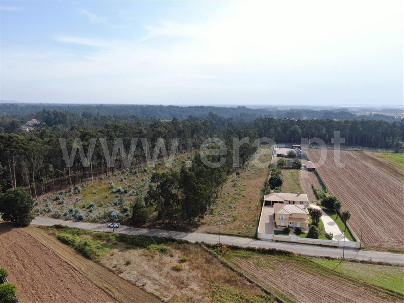 Terreno para Construção  Ovar, Ovar, São João, Arada e São Vicente de Pereira Jusã - 1504205 - 2