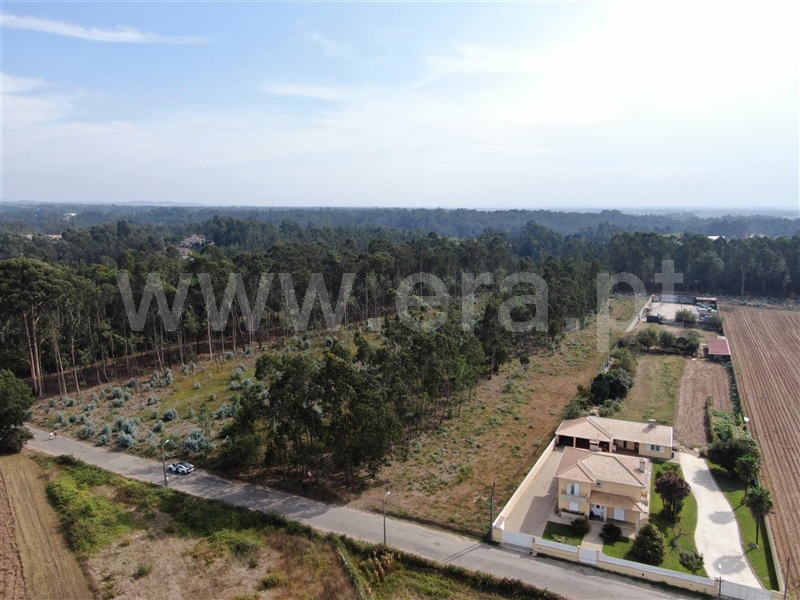 Terreno para Construção  Ovar, Ovar, São João, Arada e São Vicente de Pereira Jusã - 1504205 - 4
