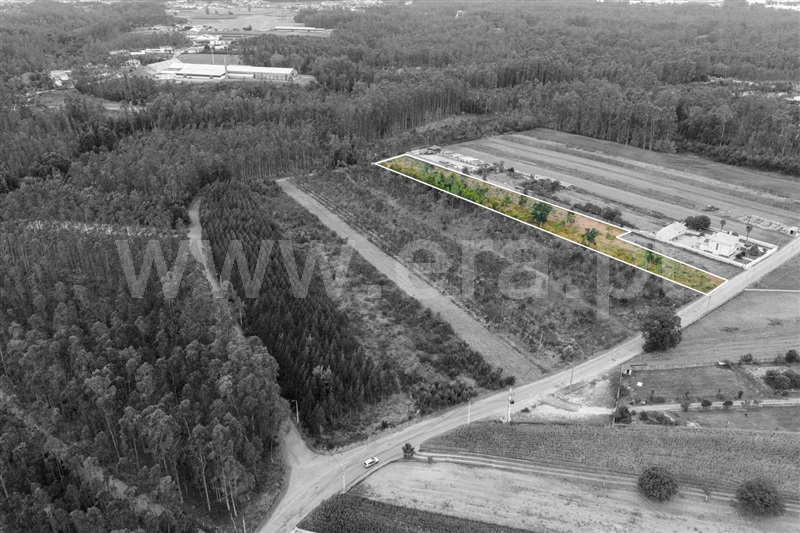 Terreno para Construção  Ovar, Arada - 1504205 - 3