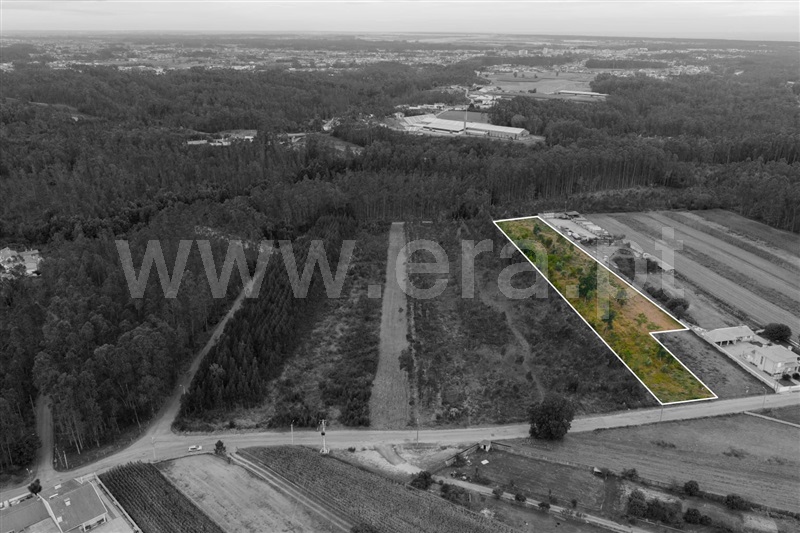 Terreno para Construção  Ovar, Arada - 1504205 - 4
