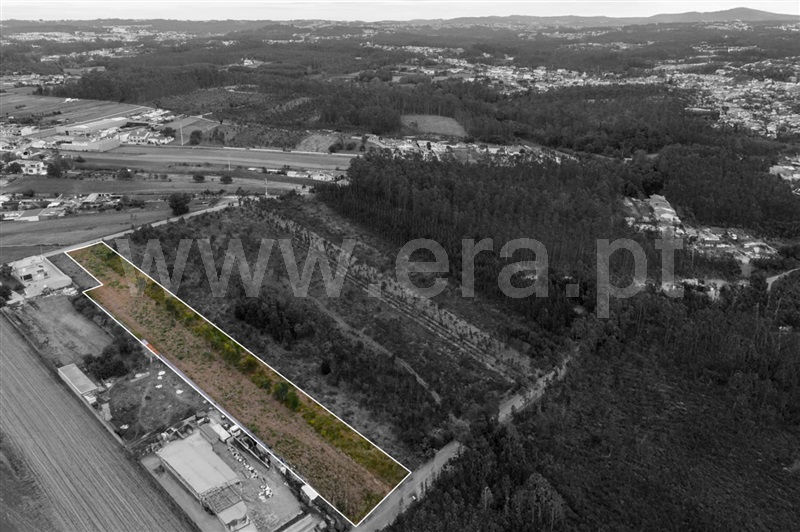 Terreno para Construção / Ovar, Arada