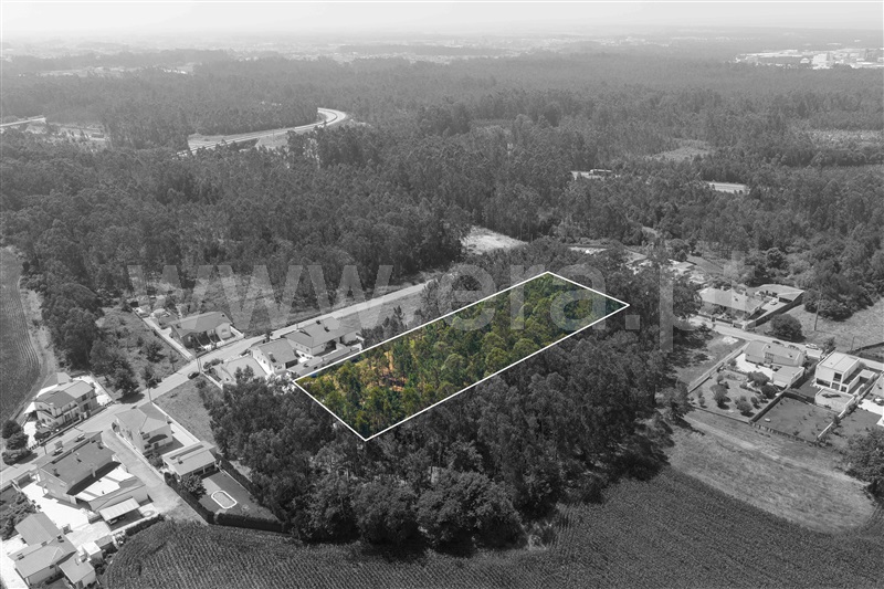 Terreno para Construção  Ovar, Arada - 1504727 - 7