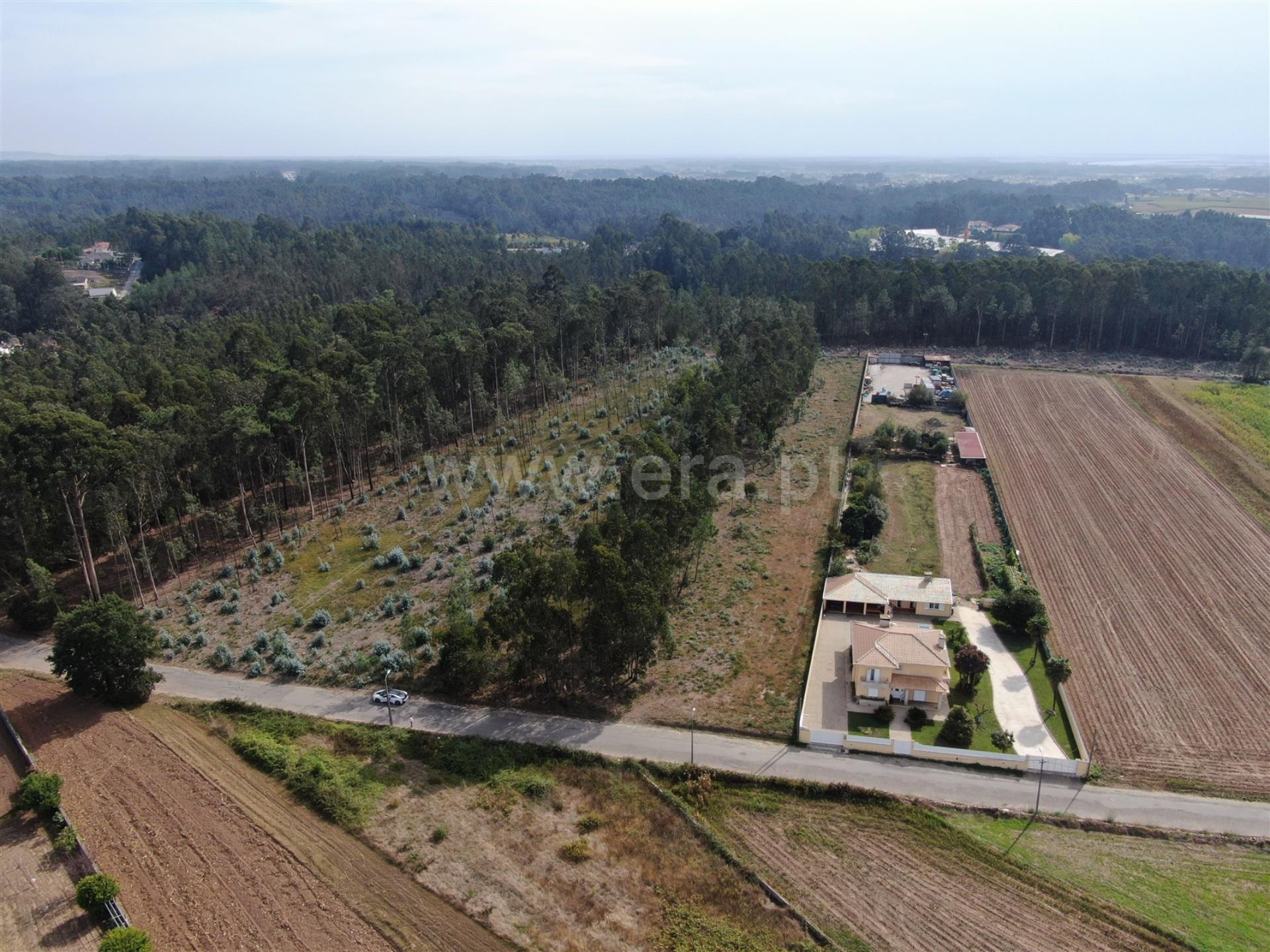 Land for sale in Ovar, Portugal — €99,000