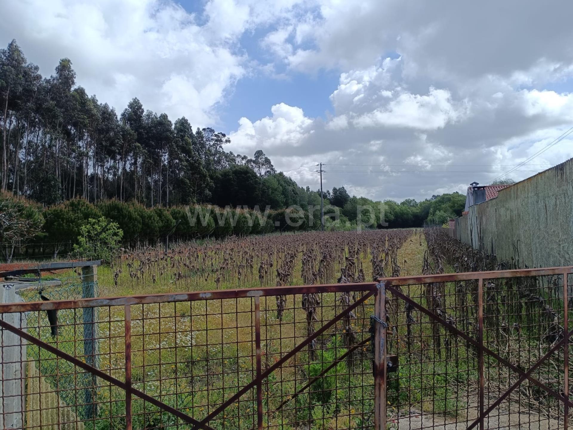 Land for sale in Ovar, Portugal — €67,500