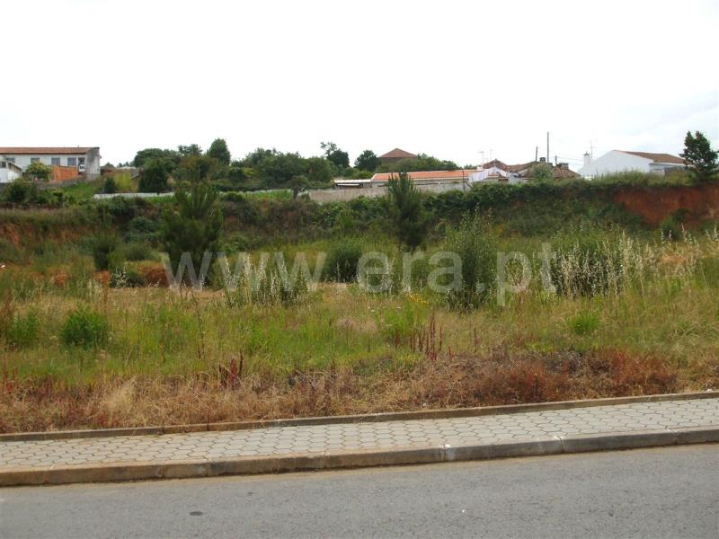 Terreno para Construção / Ovar, Escolas