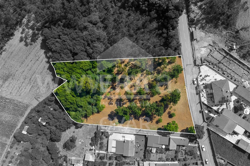 Terreno para Construção  Ovar, Maceda - 1482588 - 5