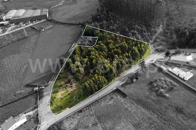 Terreno para Construção / Ovar, Maceda