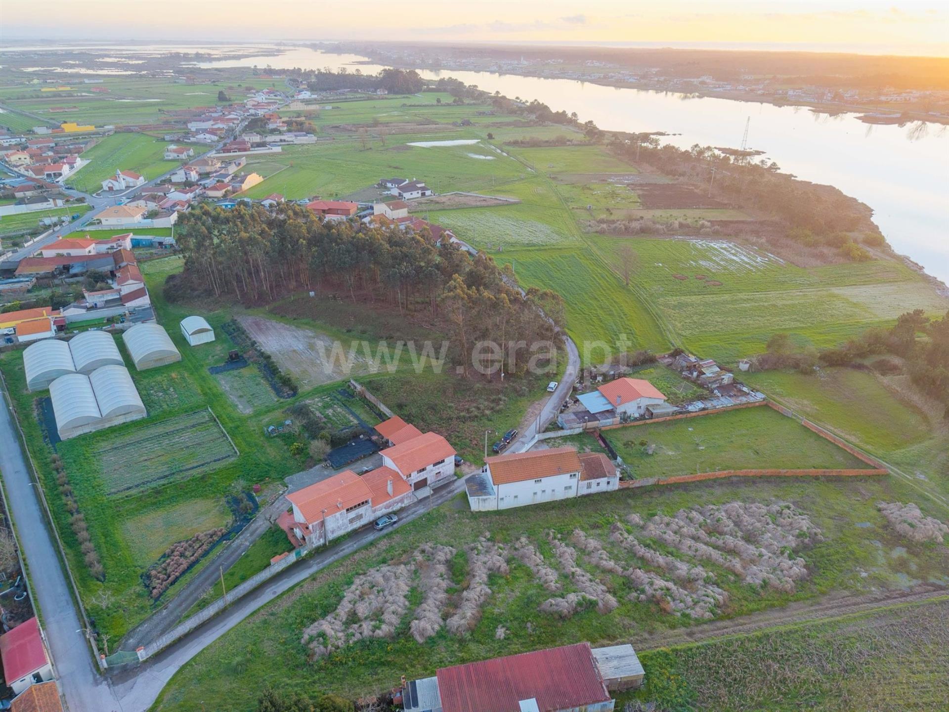 Land for sale in Ovar, Portugal — €69,000