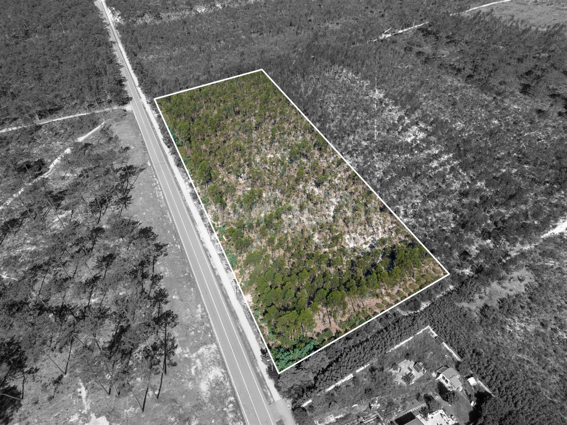 Land for sale in Ovar, Portugal — €870,000