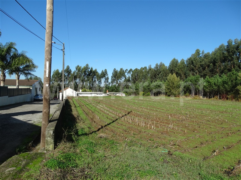 Terreno para Construção / Ovar, Ovar, São João, Arada e São Vicente de Pereira Jusã