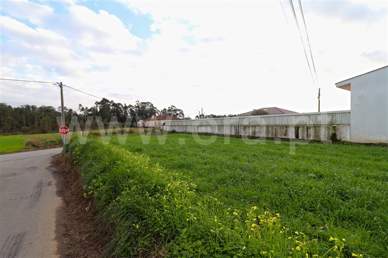 Terreno para Construção  Ovar, Ovar, São João, Arada e São Vicente de Pereira Jusã - 1443076 - 4