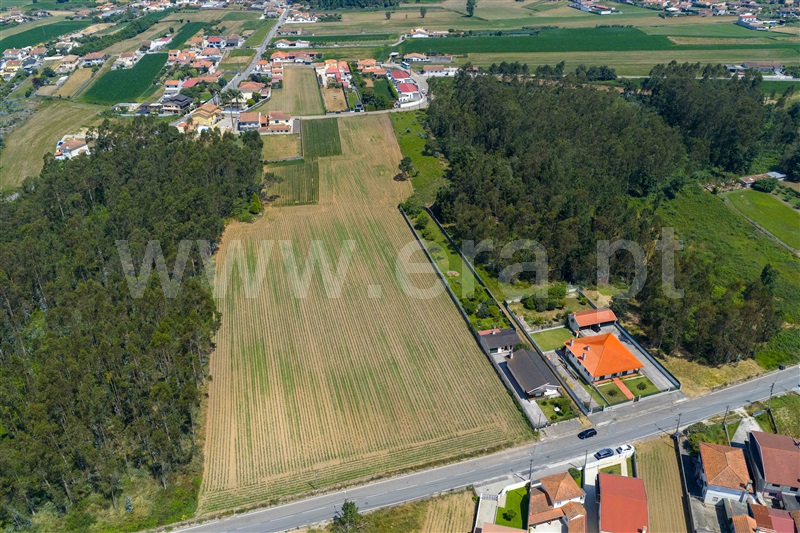 Terreno para Construção / Ovar, Ovar, São João, Arada e São Vicente de Pereira Jusã