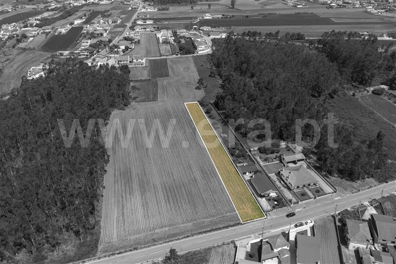 Terreno para Construção  Ovar, Ovar, São João, Arada e São Vicente de Pereira Jusã - 1488651 - 2