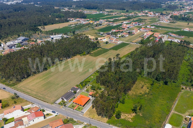 Terreno para Construção  Ovar, Ovar, São João, Arada e São Vicente de Pereira Jusã - 1488651 - 3