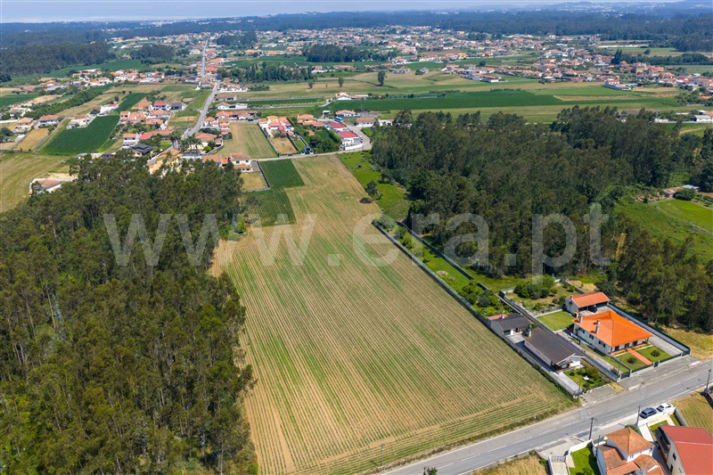 Terreno para Construção  Ovar, Ovar, São João, Arada e São Vicente de Pereira Jusã - 1488651 - 9