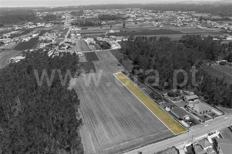 Terreno para Construção  Ovar, Ovar, São João, Arada e São Vicente de Pereira Jusã - 1488651 - 10