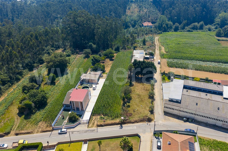 Terreno para Construção / Ovar, S. João de Ovar