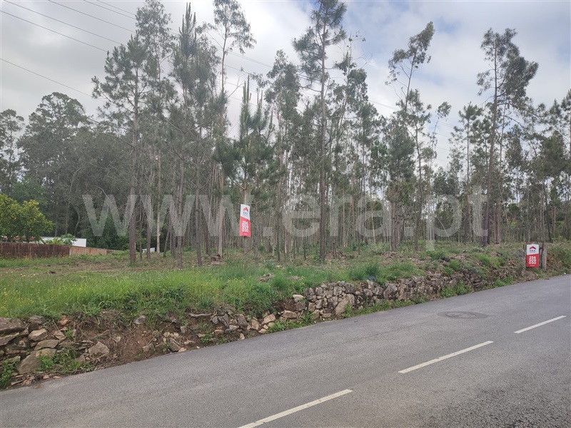 Terreno para Construção / Ovar, S.V. Pereira