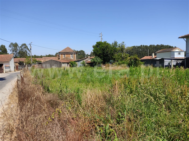 Terreno para Construção / Ovar, Válega