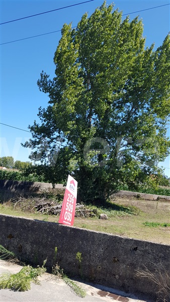 Terreno para Construção / Ovar, Válega