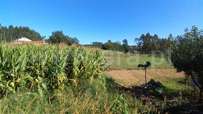 Terreno para Construção / Ovar, Válega