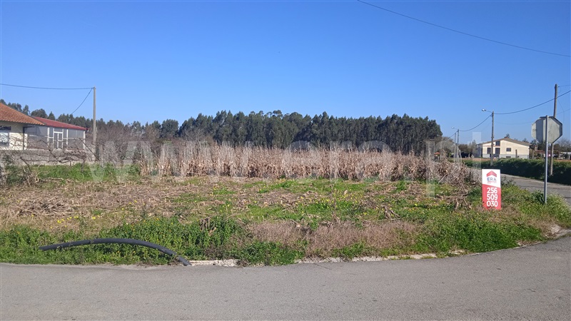 Terreno para Construção / Ovar, Válega