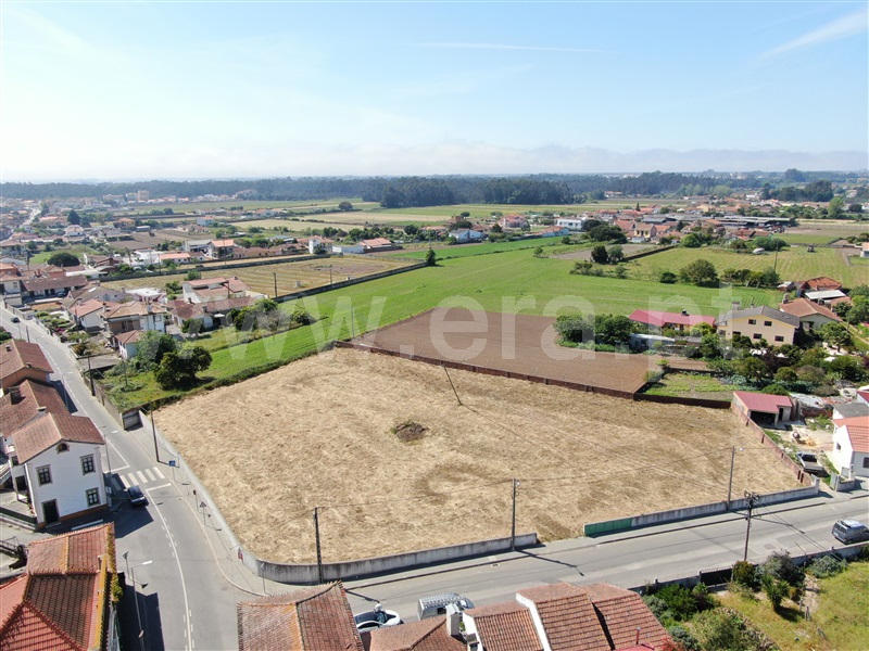 Terreno para Construção / Ovar, Válega