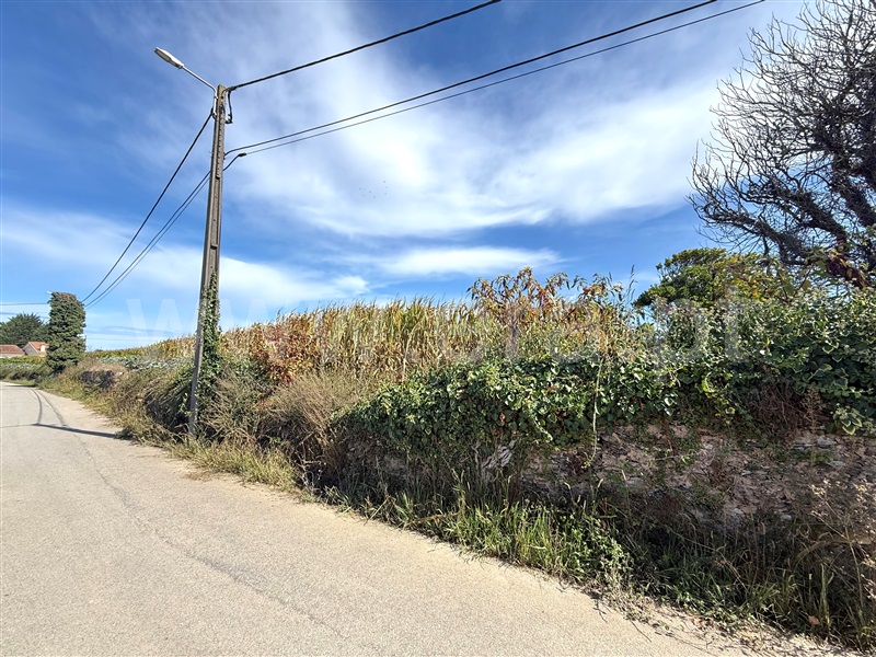 Terreno para Construção / Ovar, Válega