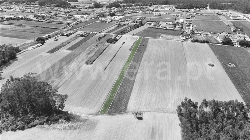 Terreno para Construção / Ovar, Válega