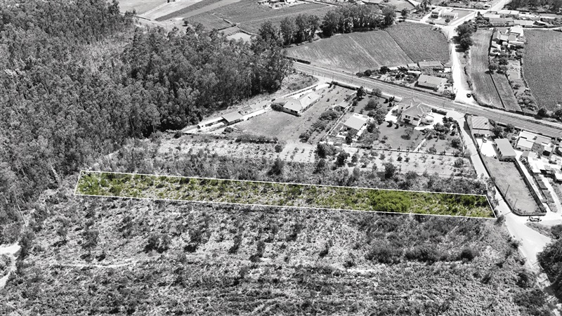 Terreno para Construção / Ovar, Válega