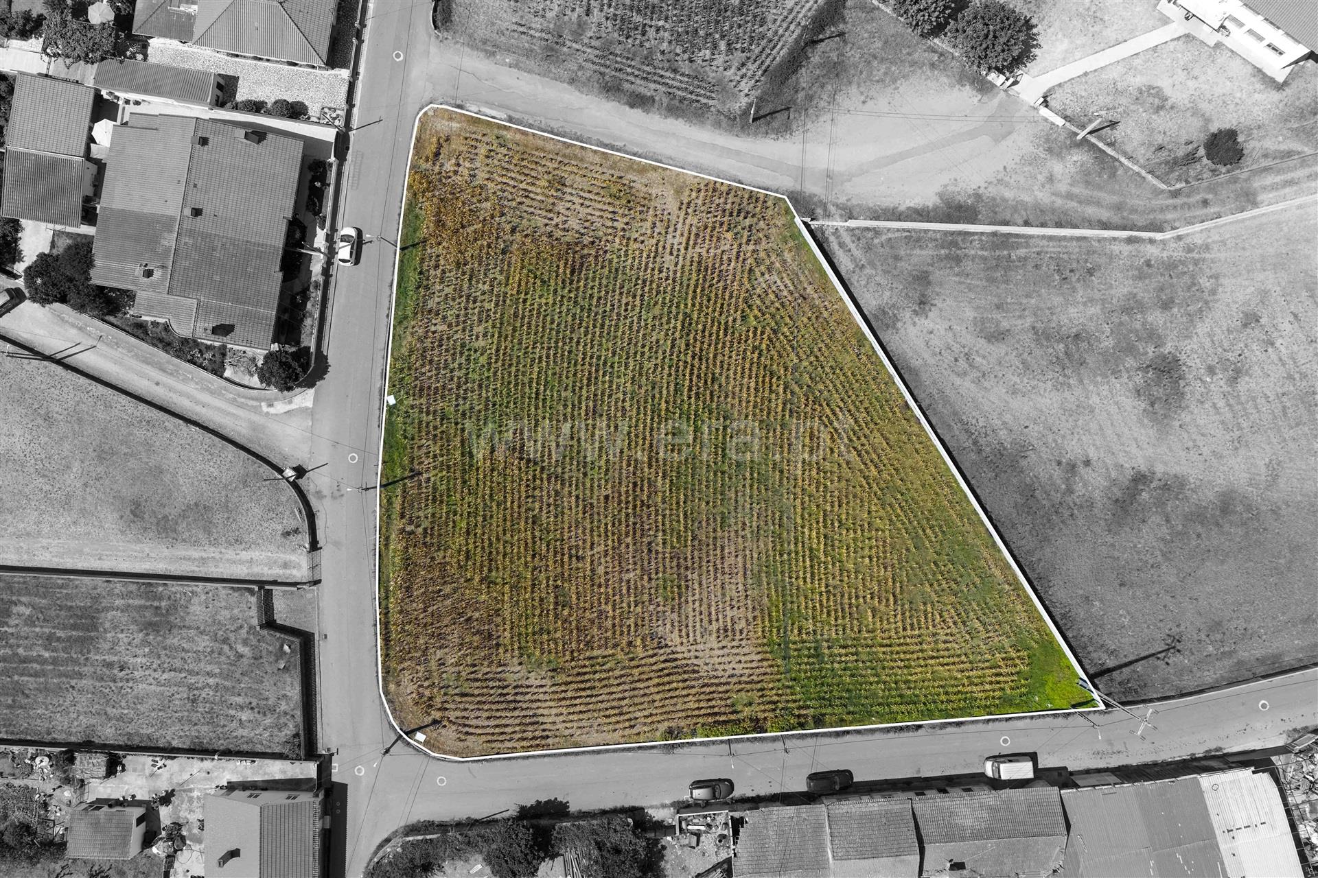 Land for sale in Ovar, Portugal — €90,000
