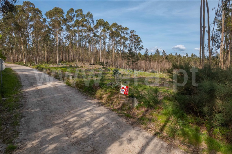 Terreno para Construção / Paços de Ferreira, Sanfins Lamoso Codessos