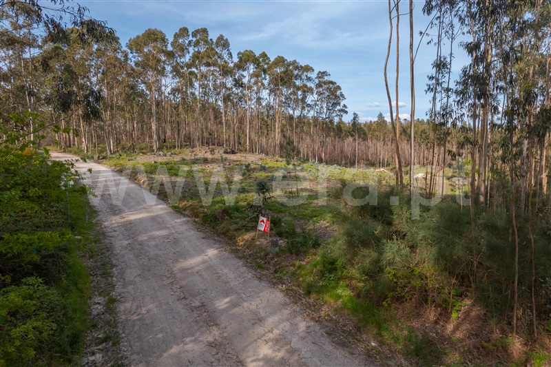 Terreno para Construção  Paços de Ferreira, Sanfins Lamoso Codessos - 1450552 - 4