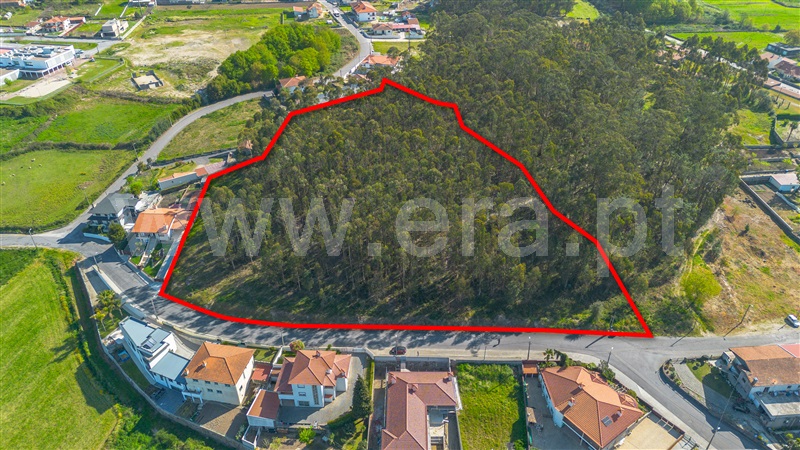 Terreno para Construção / Paços de Ferreira, Sanfins Lamoso Codessos