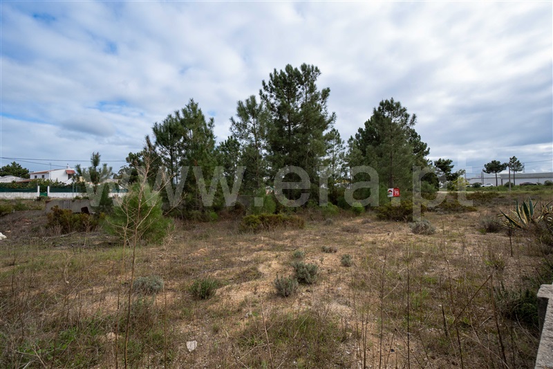Terreno para Construção  Palmela, Quinta do Anjo - 1443968 - 4