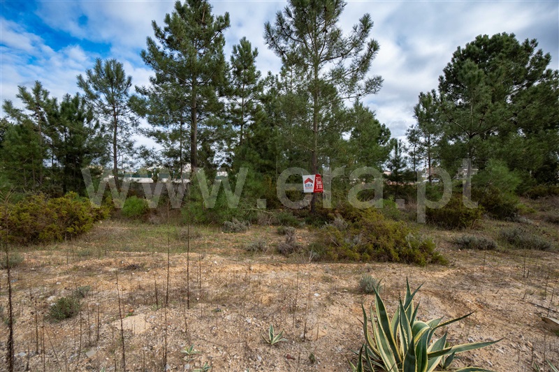 Terreno para Construção  Palmela, Quinta do Anjo - 1443968 - 6
