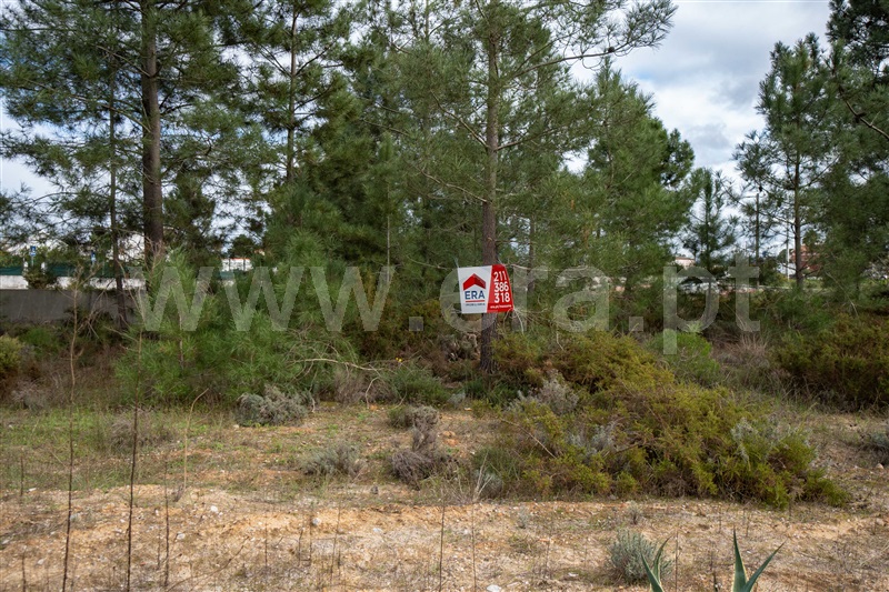 Terreno para Construção / Palmela, Quinta do Anjo