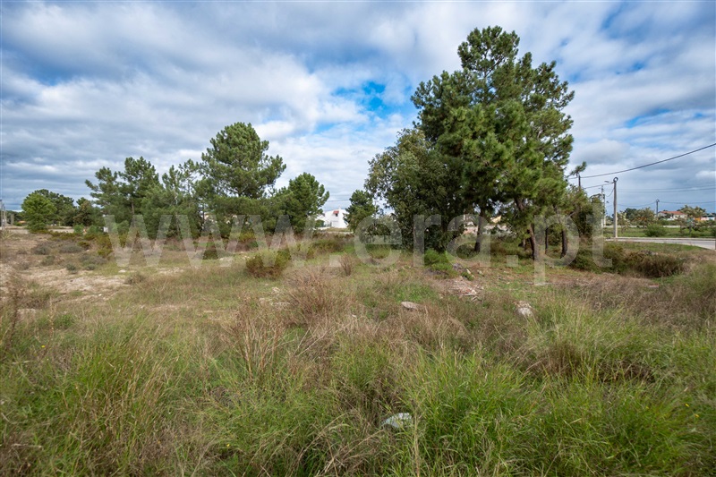 Terreno para Construção  Palmela, Quinta do Anjo - 1443968 - 9