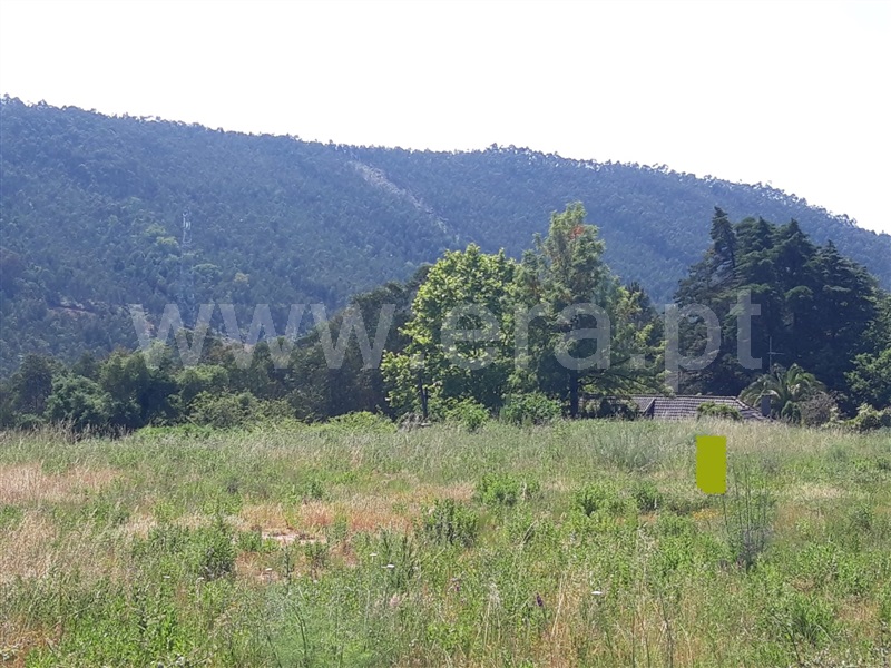 Terreno para Construção / Paredes, Aguiar de Sousa