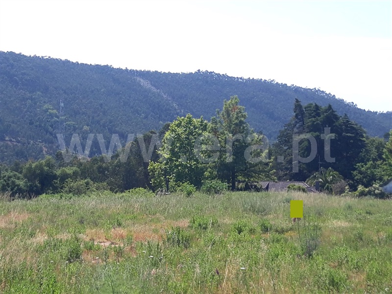 Terreno para Construção  Paredes, Aguiar de Sousa - 1172139 - 7