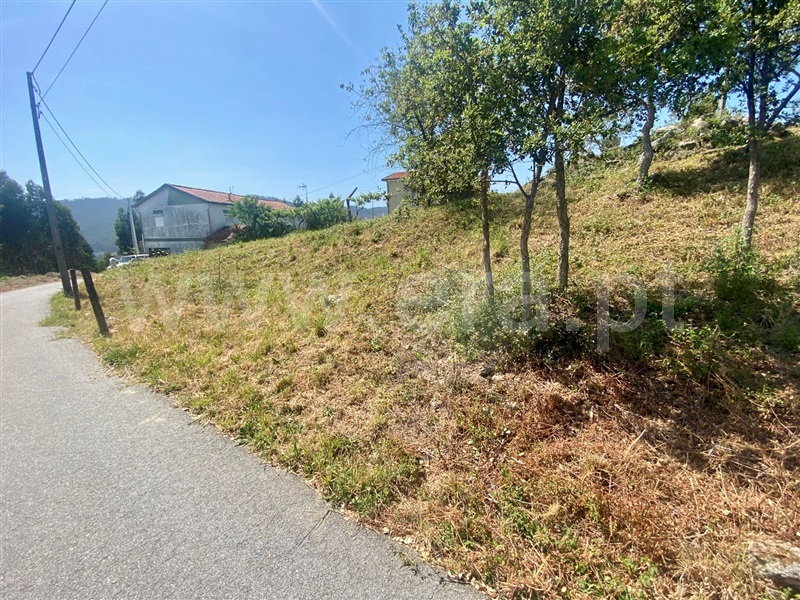 Terreno para Construção / Paredes, Aguiar de Sousa