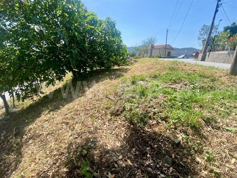 Terreno para Construção  Paredes, Aguiar de Sousa - 1235902 - 2