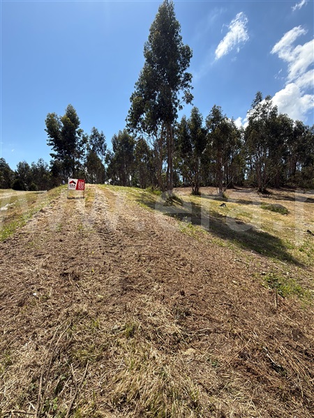 Terreno para Construção  Paredes, Baltar - 1472746 - 4
