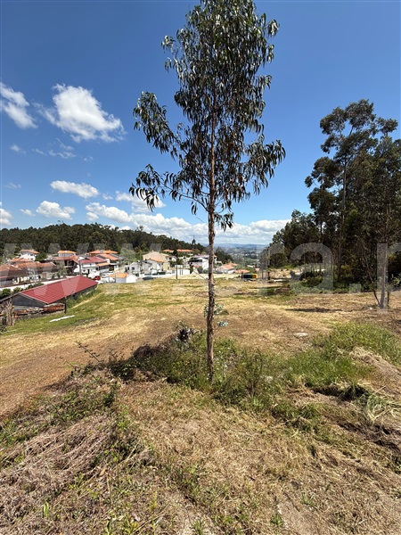 Terreno para Construção  Paredes, Baltar - 1472746 - 9