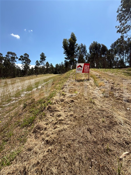Terreno para Construção / Paredes, Baltar