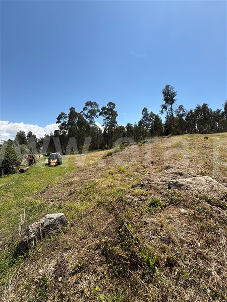 Terreno para Construção  Paredes, Baltar - 1472747 - 5