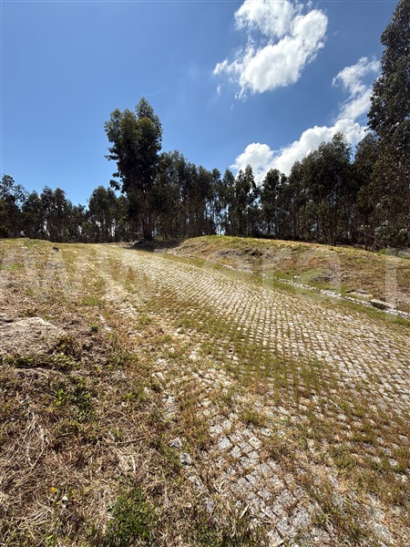 Terreno para Construção  Paredes, Baltar - 1472747 - 6